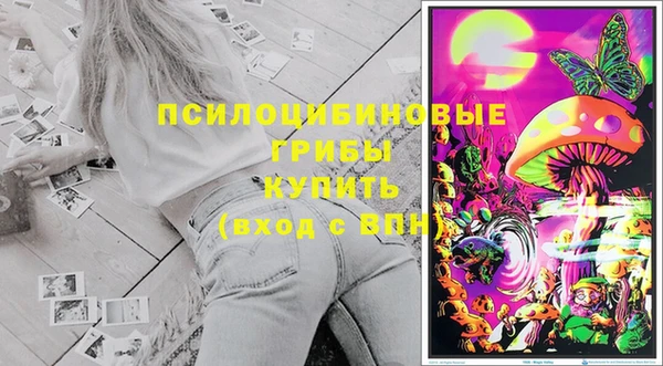 PSILOCYBIN Наволоки