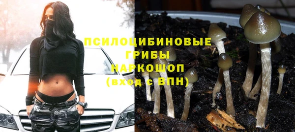 PSILOCYBIN Наволоки