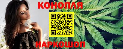 apvp Заводоуковск