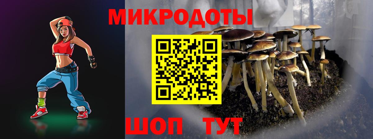 Галлюциногенные грибы Cubensis  Вход с VPN  Галлюциногенные грибы GOLDEN TEACHER  Новый Уренгой 
